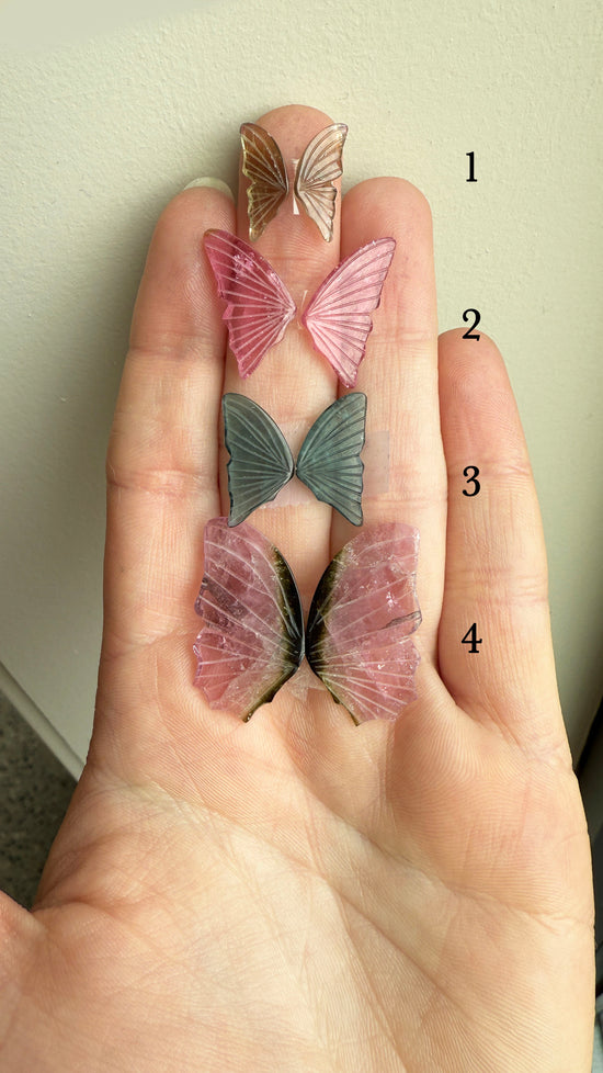 Option 2 Tourmaline Butterfly Wing